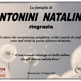 Ringraziamento