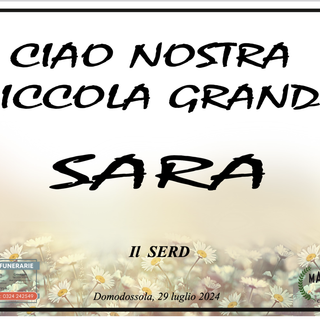 Partecipazione