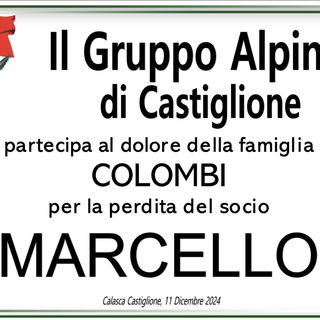 Partecipazione