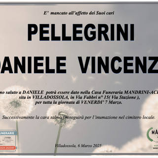 Pellegrini Daniele Vincenzo