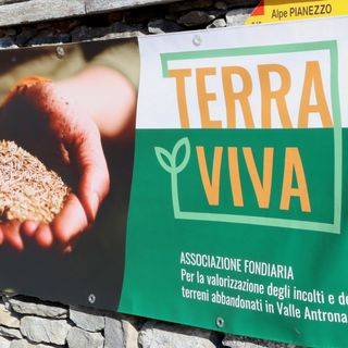 L'associazione Terra Viva punta a produrre succo di mele