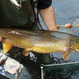 Ad Archetti-Bolamperti-Tondina la gara di pesca di San Bartolomeo