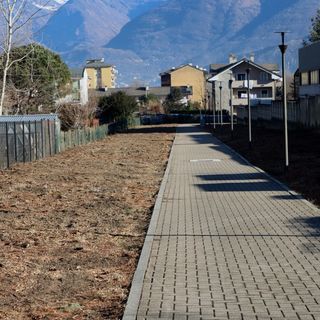 Piante tagliate sulla ciclabile: c'è un motivo?