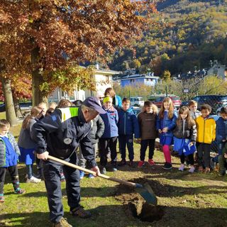 Giornata dell'albero, cerimonia alle elementari di Beura per sensibilizzare le nuove generazioni  FOTO e VIDEO