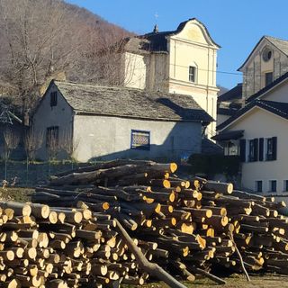 Trontano, per i residenti legna da ardere a prezzo vantaggioso