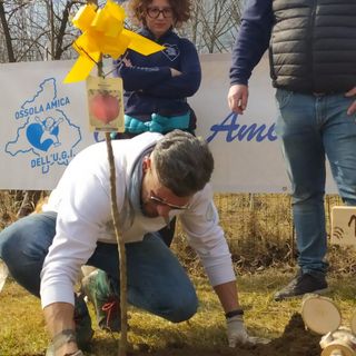 L'Ossola Amica dell'Ugi ha piantato un melograno per sostenere la lotta contro il cancro infantile VIDEO E FOTO
