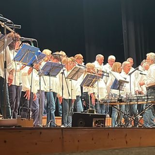 Raccolti 6.500 euro per le case di riposo di Domo e Villa grazie al  Coro Blu