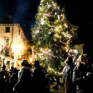 Accensione dell'Albero di Natale al Santuario di Re