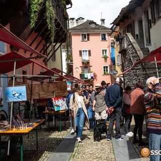 Arte nel centro storico, buona riuscita dell'evento organizzato nell'ambito del festival Di-Se FOTO