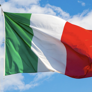 Oggi, 7 gennaio, è il giorno del Tricolore, l’Italia intera festeggia il 229° anniversario della nascita della bandiera