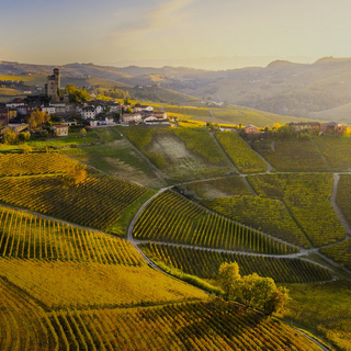 ll Piemonte è pronto a diventare la Capitale mondiale del cibo