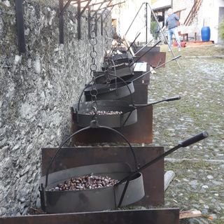 A Cisore la tradizionale castagnata