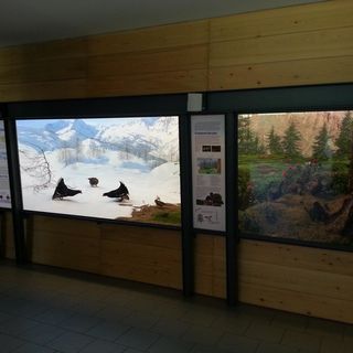 Esplorazione ornitologica al Centro Visite di Crodo