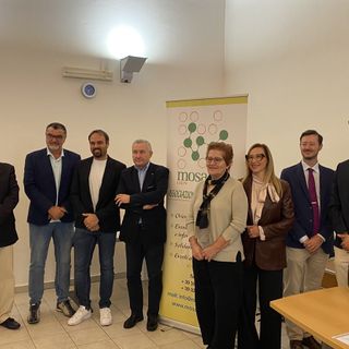 “Amico cibo”: un concorso per educare i ragazzi alla sana alimentazione FOTO E VIDEO