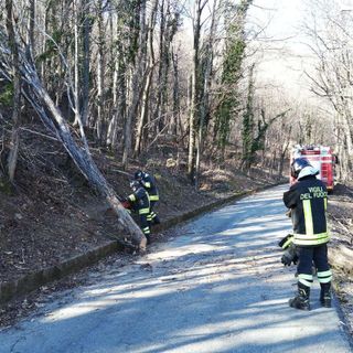 Venti interventi dei Vigili del fuoco sul territorio provinciale per il forte vento
