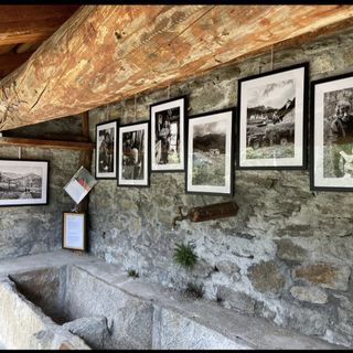 Foto di Patrizia Savaglio