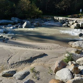 Fango nell'Anza, molti pesci morti   FOTO e VIDEO