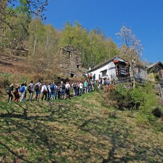 Un'altra gita escursionistica tra i terrazzamenti del Parco Val grande