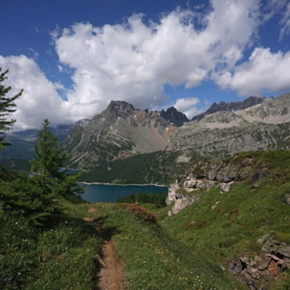 Grande Est, il Consiglio di Stato ha respinto l'appello dell’Ente Aree Protette dell’Ossola