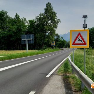 Ungulati, nuovi cartelli di pericolo sulle strade provinciali