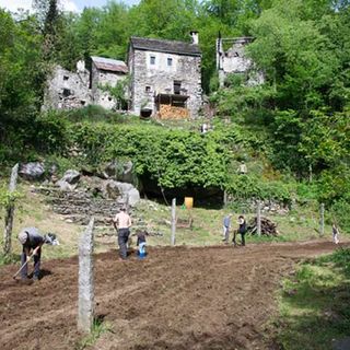 Agricoltura di montagna: al via il bando regionale per le indennità compensative