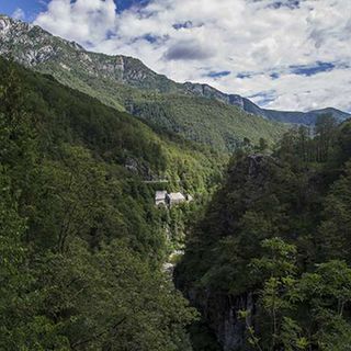 Alla scoperta dei segreti delle piante...natalizie
