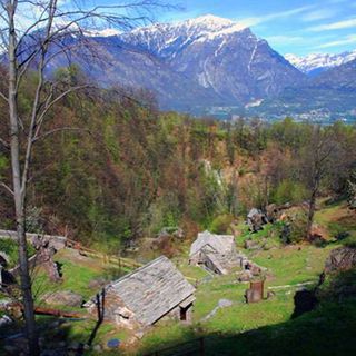 A Trontano la 50ma sagra primaverile di San Gregorio