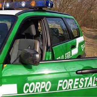 Continuano i controlli dei Carabinieri forestali, elevate sanzioni in Val Grande