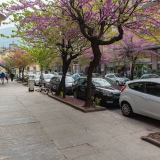Domodossola, affidata la gestione della sosta a pagamento