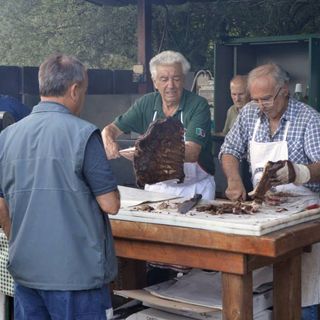 Domodossola, ritorna la festa degli Alpini alla Prateria