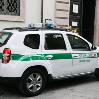 Danneggia un albero a Domodossola, denunciato