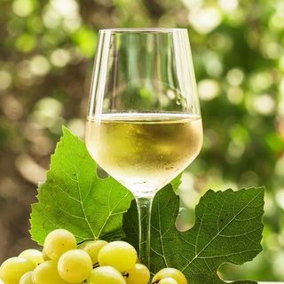 Tempo di vendemmia in Ossola: &quot;Sarà un'ottima annata&quot;