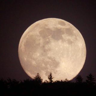 Il cielo di ottobre regala la Superluna