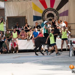 A Premosello musica, gastronomia e divertimento aspettando il Palio degli Asini