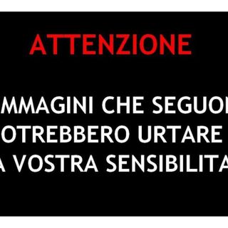 Nuovo episodio di bracconaggio in Val Vigezzo: la polizia provinciale cerca il responsabile