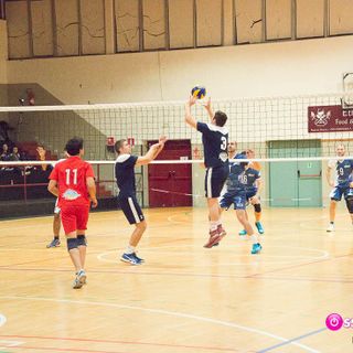 Volley, al via la Coppa Italia Serie D