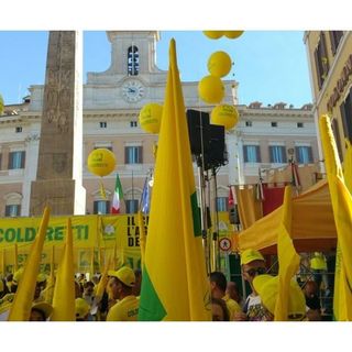 Sos Frutta: martedì il blitz degli agricoltori Coldiretti in piazza Castello a Torino