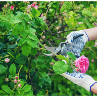 Dall’ Unione Montana delle Valli dell’Ossola un bando per 4 disoccupati Dall’ Unione Montana delle Valli dell’Ossola un bando per 4 disoccupati