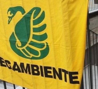 Piantumazioni: nuovi alberi in calo, ma i benefici rimangono elevati
