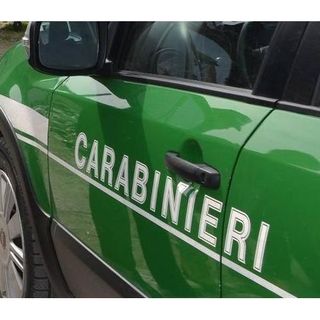 Daniele Pivi al comando dei Carabinieri Forestali d’Anzasca