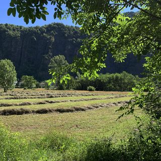 Agricoltura di montagna, Preioni e Leone (Lega): “Pubblicato il bando che incentiva con 17,5 milioni di euro&quot;
