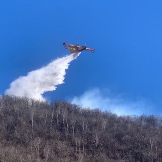Ad Ornavasso arriva un canadair per spegnere l'incendio FOTO