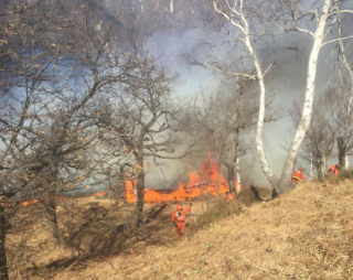 Incendio sopra Ornavasso, Fulgosi: “Chiunque abbia notizie o abbia visto la partenza delle fiamme è pregato di contattarmi”
