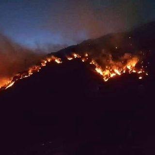 Rogo di Gambarogno: fermati due giovani per incendio colposo