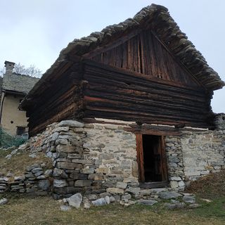 Aspettando LetterAltura, un'escursione all'Alpe Fraccia alla scoperta del patrimonio botanico