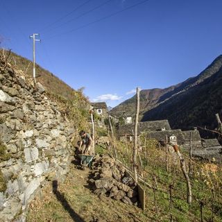I nuovi agricoltori dei parchi ossolani