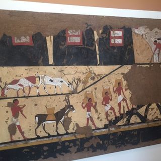 Visita guidata alla mostra &quot;Liberi di imparare&quot;  ﻿