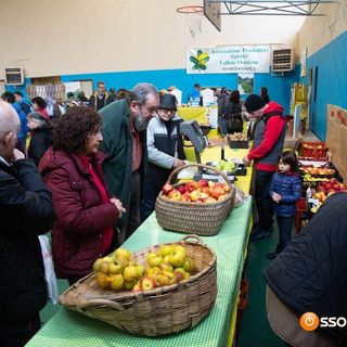 Annullata l'edizione 2022 di MeleMiele