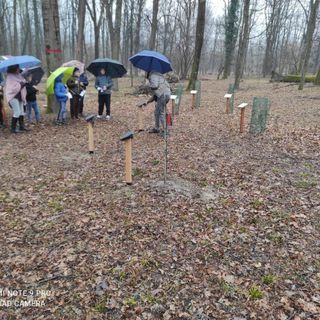 Si allarga il giardino delle donne del Bosco Tenso con tre nuove piante