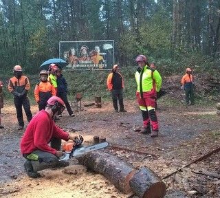 Regione, più tutela per gli operai forestali